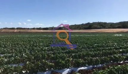 FAZENDA DE DUPLA APTIDÃO COM 988 HA FORMADA EM IBIMIRIM - PE