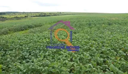 FAZENDA DUPLA APTIDÃO DE 958 HA IRRIGÁVEL E TODA FORMADA EM