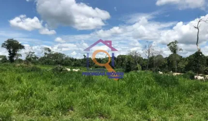 FAZENDA DUPLA APTIDÃO, 980 ALQUEIRES NO SUL DO TOCANTINS-TO