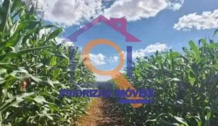FAZENDA DE DUPLA APTIDÃO COM 405 HA FORMADA EM PARACATU - MG