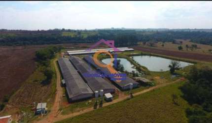 FAZENDA COM 19,36 COM GRANJA MODERNA A VENDA EM TATUÍ-SP