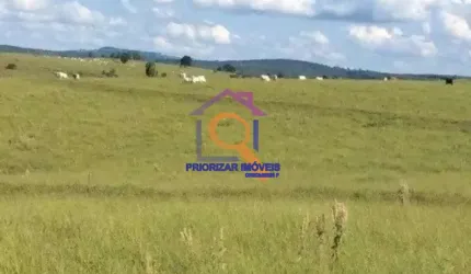 ÓTIMA FAZENDA DE PECUÁRIA COM 240 HA FORMADA EM BOTUCATU-SP