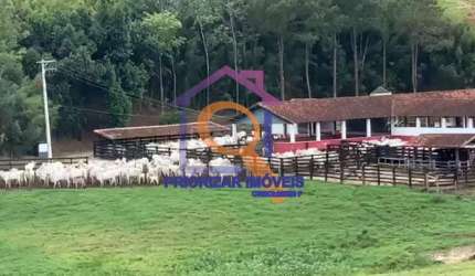 ÓTIMA FAZENDA DUPLA APTIDÃO 800 HA  NO VALE PARAIBA -SP