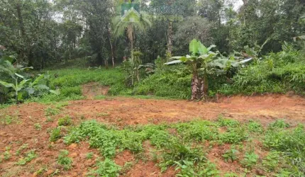 Terreno à venda no bairro São João da Graciosa - Morretes/PR, Rural