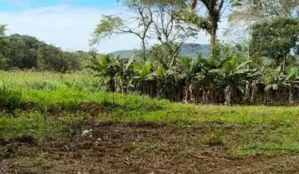 Área à venda no bairro Rio Sagrado - Morretes/PR, Rural