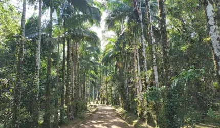 Chácara  com 306.287 m² apenas 3Km do Centro Histórico de Morretes