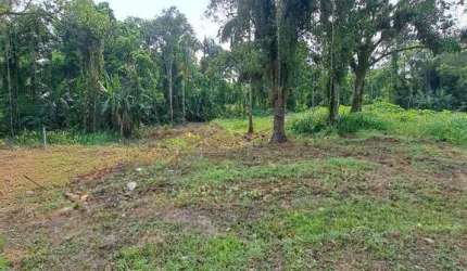 Terreno à venda no bairro Centro - Morretes/PR, Urbana