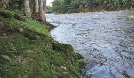 Chácara à venda no bairro Porto de Cima - Morretes/PR