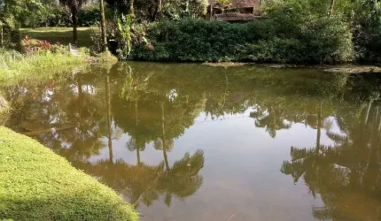 Chácara à Venda