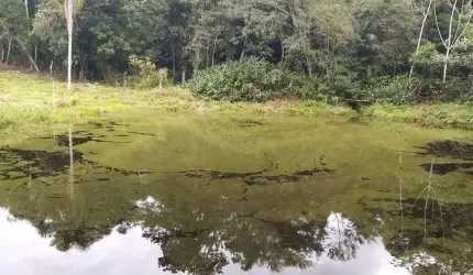 Chacara-para-Venda-em-Itaperucu-Morretes-PR