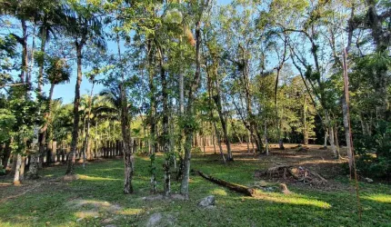 Terreno à venda no bairro América de Cima - Morretes/PR, Rural