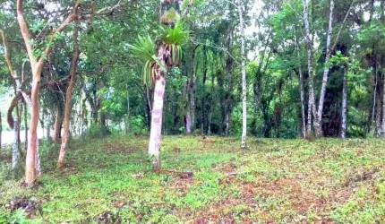 Terreno no Bairro Sarapia, Morretes/PR de frente para o asfalto.