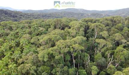 Terreno Lote para construir com 10.000 metros dentro da Mata Atlântica local alto