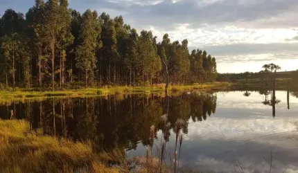 Fazenda à Venda em Mineiros - GO - 4400 Hectares de Puro Potencial! Dupla aptidão.