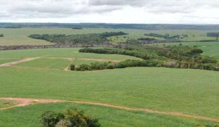 Esplêndida Fazenda em Mineiros-Go!