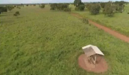 Excelente oportunidade em Paracatu-MG!