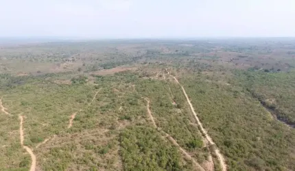 Fazenda de dupla aptidão á venda na região de Damianópolis-GO