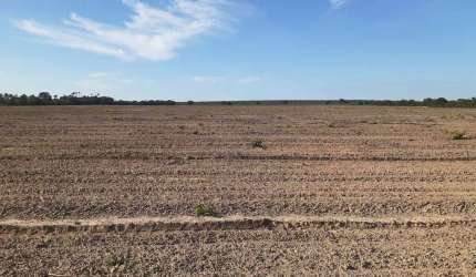 Fazenda Excepcional em Chapada Gaúcha- MG