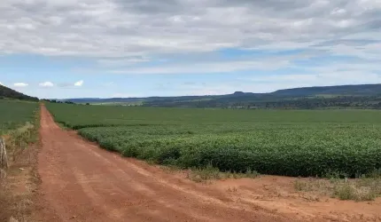 Fazenda Produtora de Grãos em Caiapônia-GO: Oportunidade Única!
