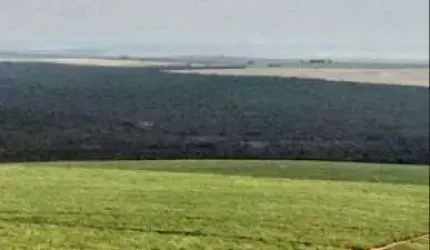 Fazenda de Cana à Venda em Mineiros-GO