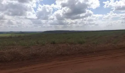 Fazenda Cana de açúcar em Mineiros- Go.