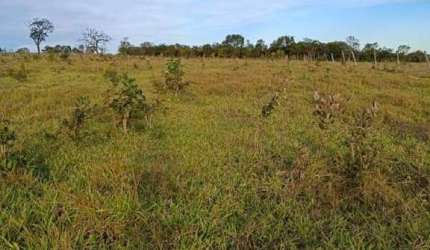 Belissima fazenda a venda em Itarumã-Go
