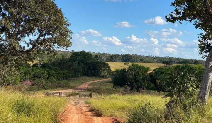 Explore uma Grande Oportunidade: fazenda Espetacular à venda em General Carneiro - MT