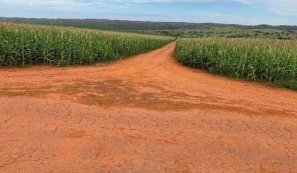Excelente fazenda localizada no município de Campo Alegre-Go