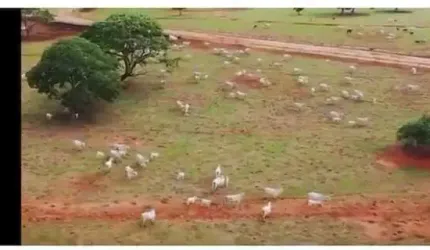Fazenda em Unaí