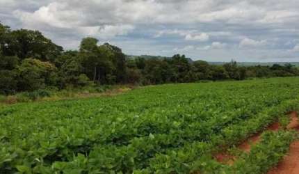Fazenda na Área Rural de Quirinópolis