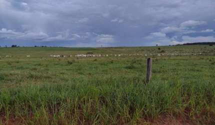 Fazenda no Município de Tesouro - MT