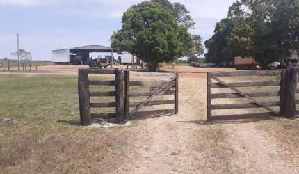 Fazenda à venda, Área Rural Vale do Araguaia - ARAGUAINA/TO