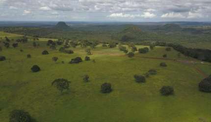 Fazenda em Pecuária em Chapadão do Céu - GO: Ótima Oportunidade!