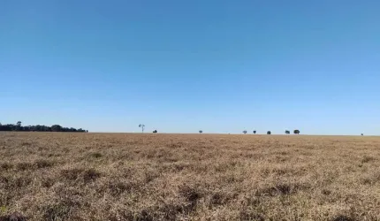 Fazenda de pecuária com aptidão para lavoura em Paraíso das Águas - MS