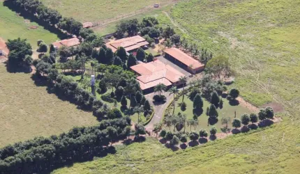 Fazenda Flôres de GO - Dupla Aptidão, Infraestrutura Completa e Localização Estratégica!
