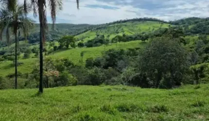 Excelente fazenda em Itapuranga-GO