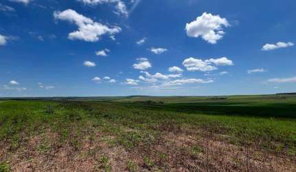 Fazenda Espetacular em Cristalina, GO - 1132 Hectares