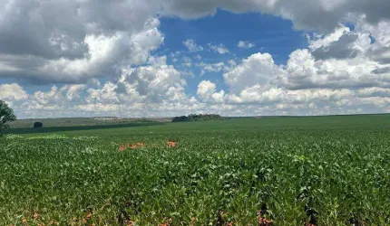 Fazenda de 1.714 hectares em Ocidental-GO próxima a Luziânia