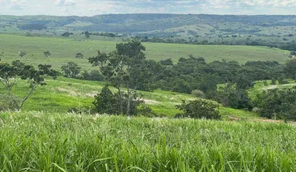 Ótima fazenda no município de Campo alegre-GO