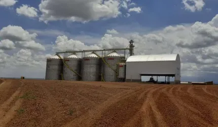 Fazenda com dupla aptidão a venda em São João d'aliança - GO, próximo a Formosa - GO