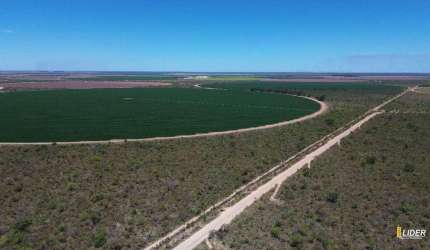 Fazenda à venda, AREA RURAL DE JABORANDI - BA - Jaborandi/BA