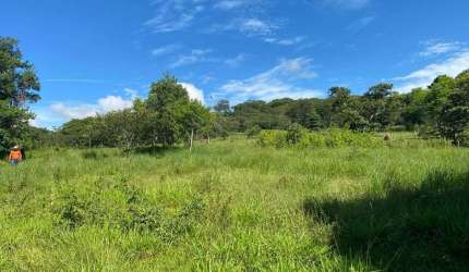 Fazenda à venda, AREA RURAL DE ARAGUARI - Araguari/MG