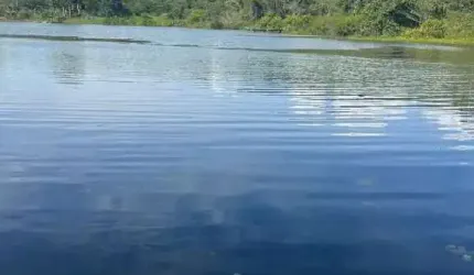 Chácara à venda, ÁREA RURAL DE UBERLÂNDIA - Uberlândia/MG
