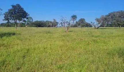 Fazenda à venda, ÁREA RURAL DE UBERLÂNDIA - Uberlândia/MG