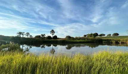 Fazenda à venda, ÁREA RURAL DE UBERLÂNDIA - Uberlândia/MG
