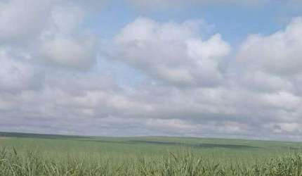 Fazenda à venda, Área Rural de Mineiros - MINEIROS/GO