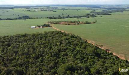 Fazenda à venda, AREA RURAL DE JATAI GO - JATAI/GO