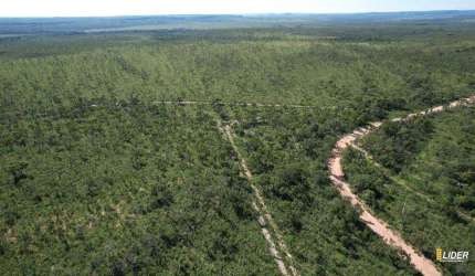 Fazenda à venda, AREA RURA DE PALMAS TO - PALMAS/TO