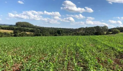 Fazenda à venda, AREA RURAL PATROCINIO PAULISTA - SAO PAULO/SP