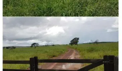 Fazenda à venda, Área Rural de Paranatinga - Paranatinga/MT